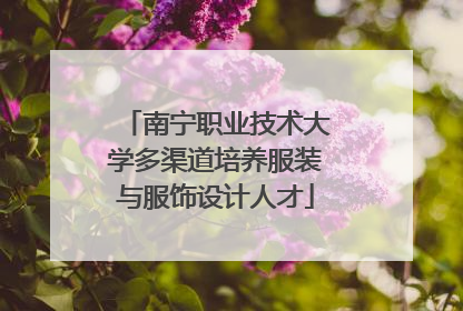 南宁职业技术大学多渠道培养服装与服饰设计人才